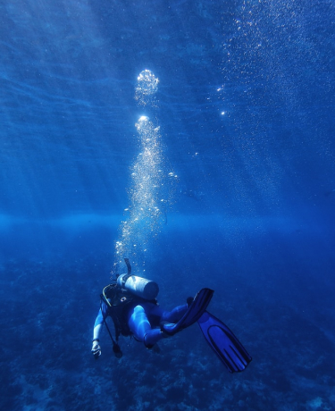 Belize Diving Trips