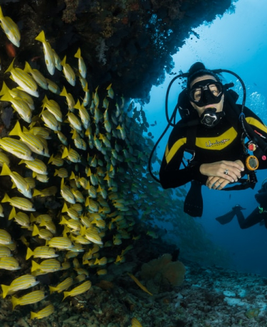 Belize Diving Vacation